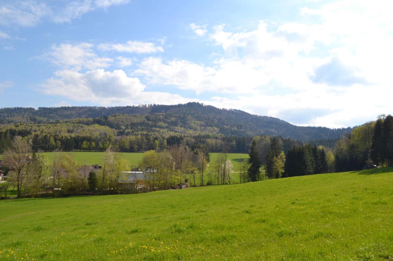 Biohof Auinger, Der Tiererlebnishof Apartment Aurach am Hongar Exterior foto