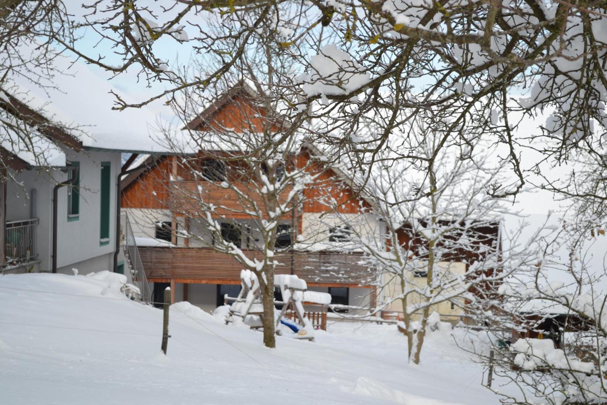 Biohof Auinger, Der Tiererlebnishof Apartment Aurach am Hongar Exterior foto